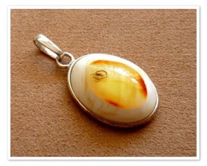 Amber pendant with insect